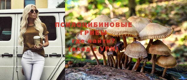 трава Алзамай